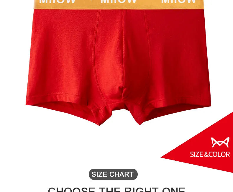 MiiOW Organic Cotton Boxer Socks Set Men Underwear Boxers Trunks Antibacterial Male Panties Boxershorts Underpants Red L-3XL New