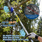43CC 52CC Petrol Pole Saw 30cm Cutting Bar Long Reach Chainsaw Extendable 2.9m Tree Pruner Garden Power Tool With Shoulder Strap