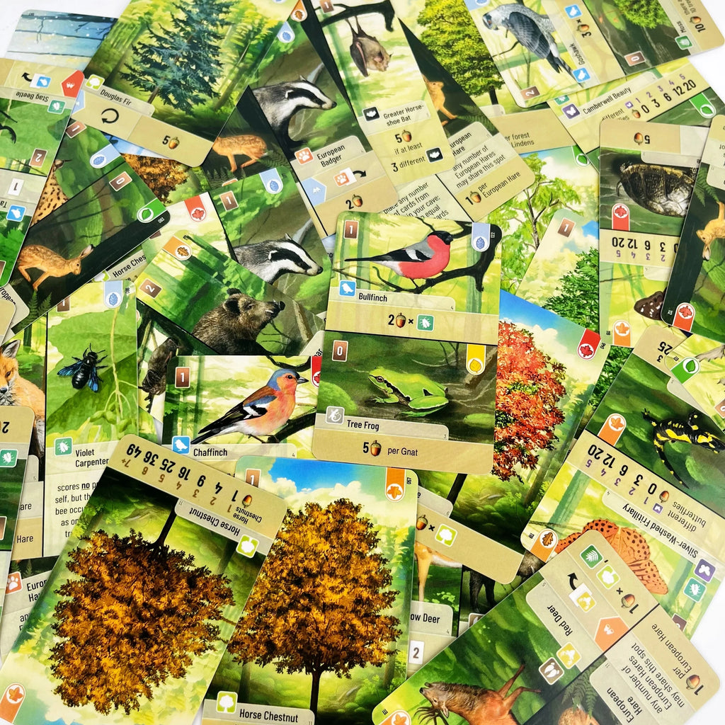 Forest Shuffle Card Game - Clever Strategy Game Fun Family Game for Kids and Adults - Woodland Edge、ALPINE、Expansion Game