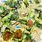 Forest Shuffle Card Game - Clever Strategy Game Fun Family Game for Kids and Adults - Woodland Edge、ALPINE、Expansion Game