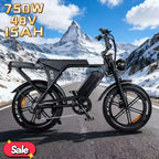 High-looking electric motorcycle, 750W motor, 48V 15AH battery, can be used for transportation and off-road electric bicycles
