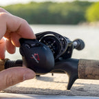 Piscifun Carbon XCS Baitcaster Reel 8kg Drag 156g Baitcasting Fishing Reel 8.1:1 Gear Ratio Dual Brake System Frame Casting Reel