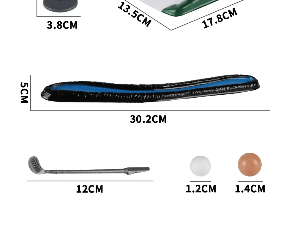 Mini Golf Toy Set, Desktop Indoor Golf Game with Course Cloth & Clubs, Interactive Family Sport Game for Kids Adults