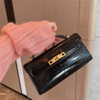 Luxury Leather and Woven Handbag with Vintage Metal Buckle, Elegant Short Handle, Stylish Women’s Tote for Evening & Daily Use