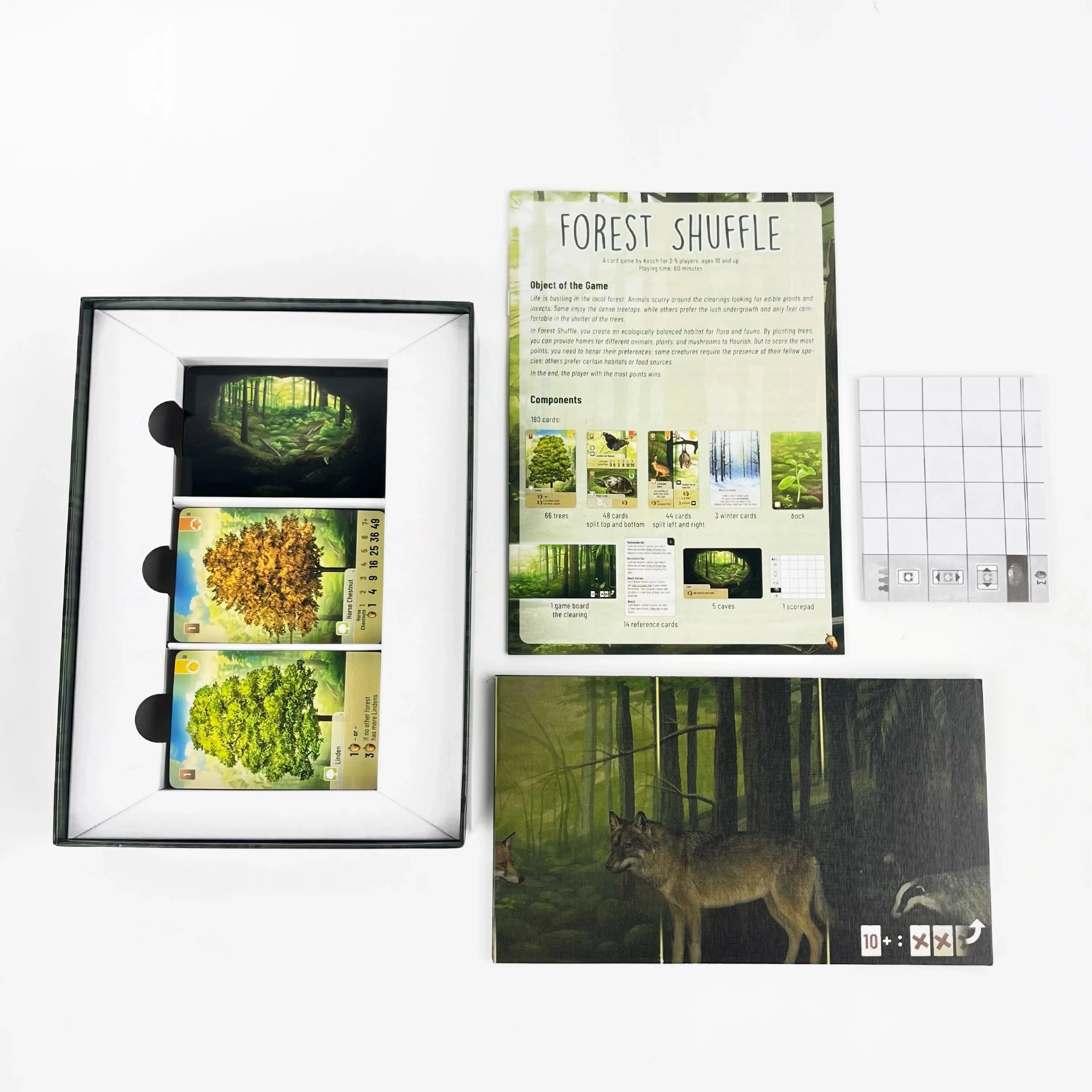 Forest Shuffle Card Game - Clever Strategy Game Fun Family Game for Kids and Adults - Woodland Edge、ALPINE、Expansion Game
